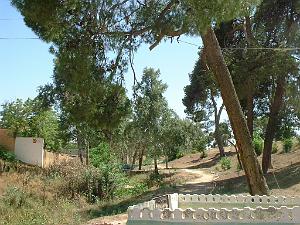 LE TELAGH Le Bosquet 01